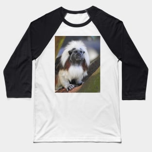 Cotton-top Tamarin Baseball T-Shirt